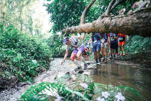 BIB: 
                            <button type="button" onclick="openModal(25465440)" class="btn btn-primary btn-sm float-right btn-popup" data-toggle="modal" data-target=".modal-high-quality">
                        <i class="fas fa-shopping-cart"></i> Add to Cart
                    </button>
                                            <button type="button" onclick="isThisMe(25465440, true)" class="btn btn-success btn-sm float-right btn-popup btn-isme hidden" data-toggle="tooltip" data-placement="bottom" title="นี่คือรูปของคุณใช่ไหม คลิกที่นี่เพื่อเอาเข้าอัลบั้ม">
                        <i class="fas fa-plus"></i> Add to album
                    </button>
                    <button type="button" onclick="isThisMe(25465440, false)" class="btn btn-warning btn-sm float-right btn-popup btn-isnotme hidden">
                        <i class="fas fa-ban"></i> Remove from album
                    </button>